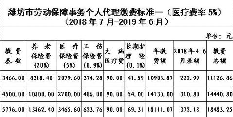 潍坊市开始2018年度代理人员社保集中缴费